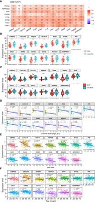 Identification of key molecules in COVID-19 patients significantly correlated with clinical outcomes by analyzing transcriptomic data